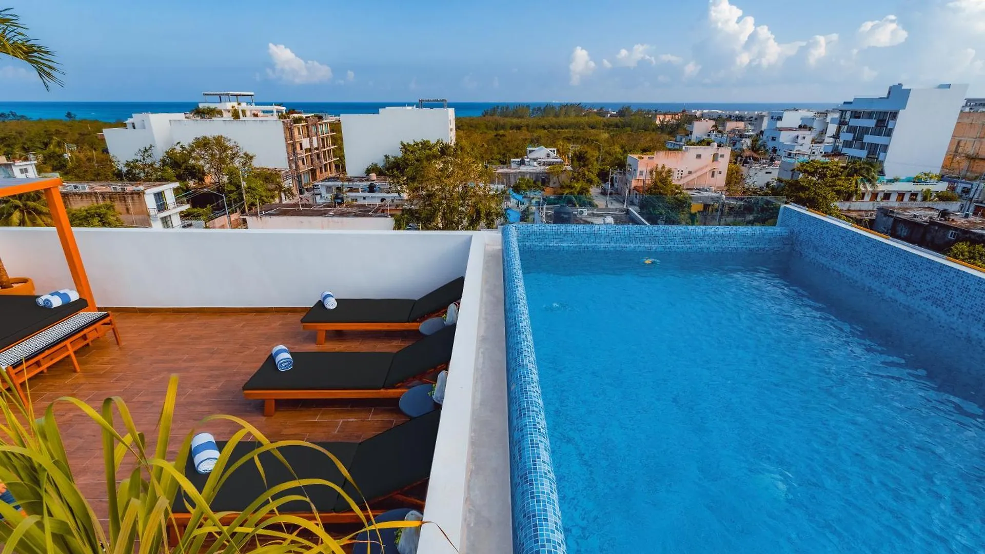 ****  Terrasse Hotel Playa Del Carmen Messico